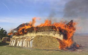 Burning thatch