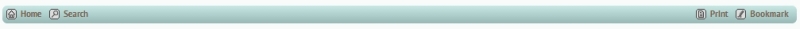 Main menu bar